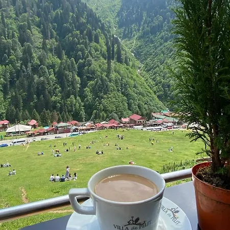 Hotel De Pelit 3*
